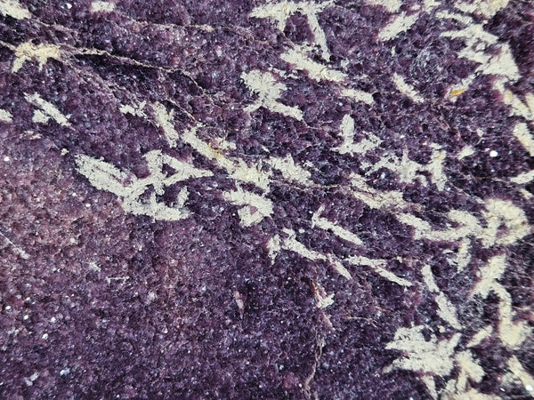 Polished Lepidolite  LEP238