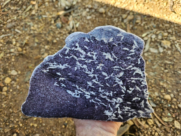 Polished Lepidolite  LEP238