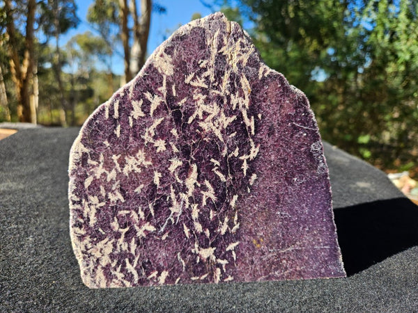 Polished Lepidolite  LEP236