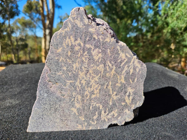 Polished Lepidolite  LEP236