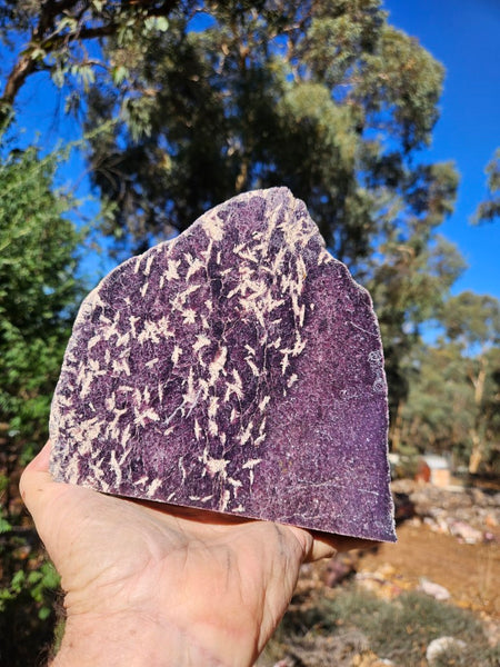 Polished Lepidolite  LEP236