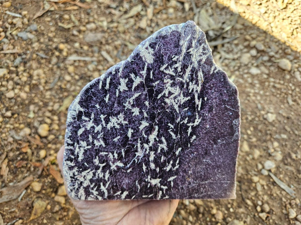 Polished Lepidolite  LEP236