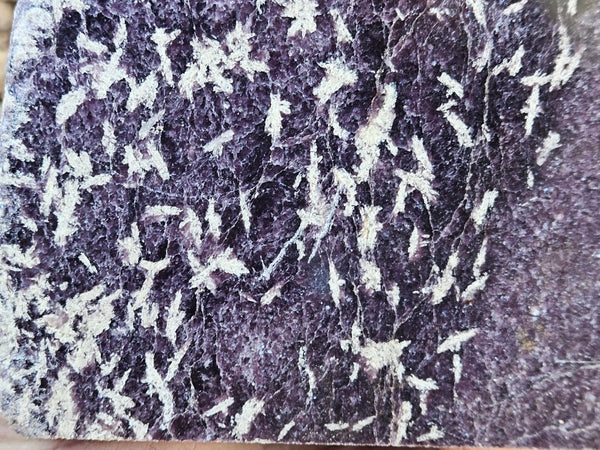 Polished Lepidolite  LEP236