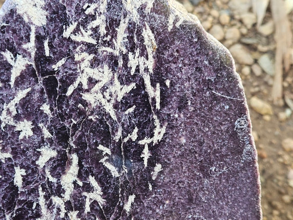 Polished Lepidolite  LEP236