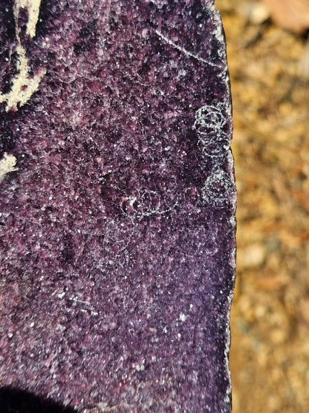 Polished Lepidolite  LEP236