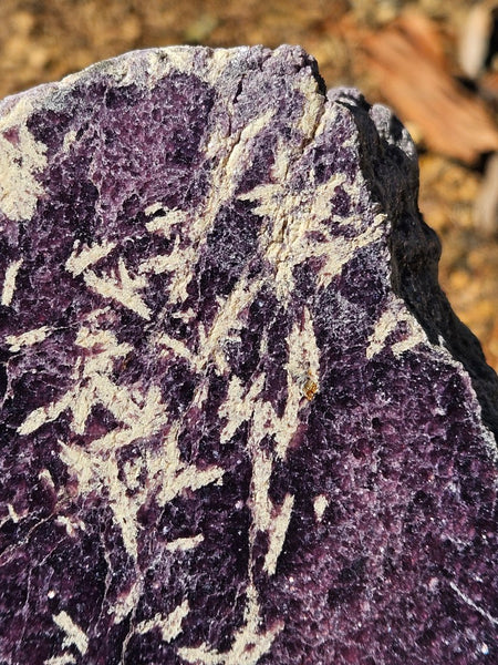 Polished Lepidolite  LEP236