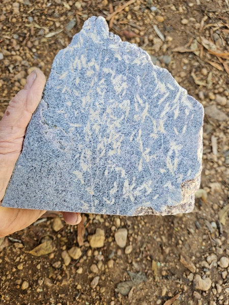 Polished Lepidolite  LEP236