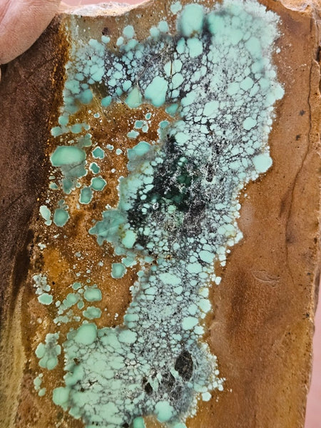 Polished Variscite   VP307