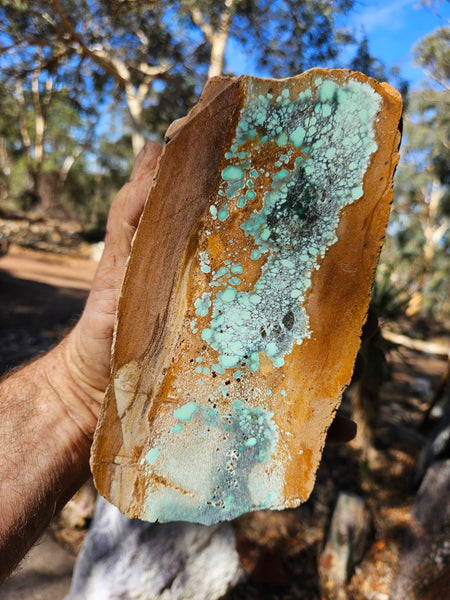 Polished Variscite   VP307