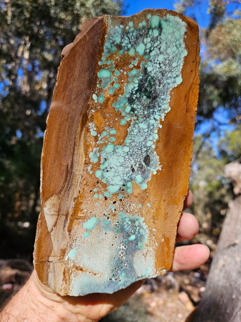 Polished Variscite   VP307