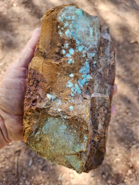 Polished Variscite   VP307