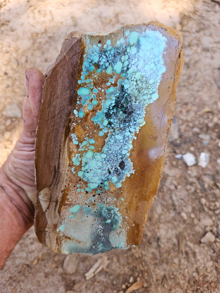 Polished Variscite   VP307