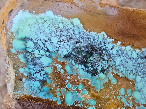 Polished Variscite   VP307