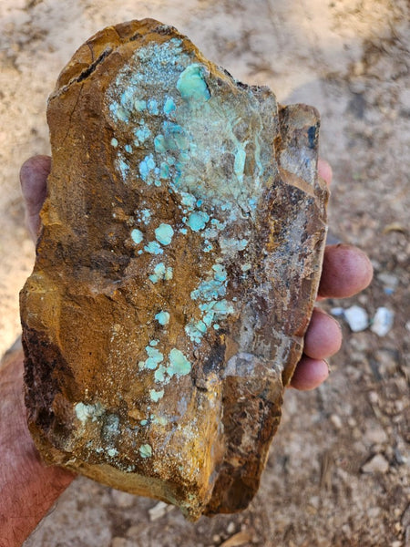 Polished Variscite   VP307