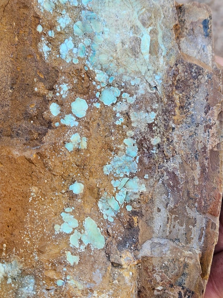Polished Variscite   VP307