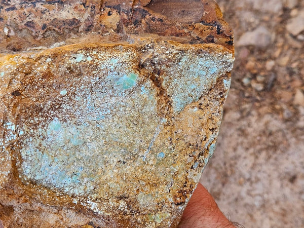 Polished Variscite   VP307