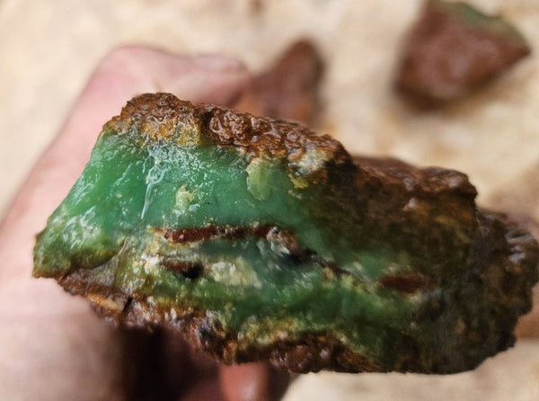 Chrysoprase rough.  CHR 215