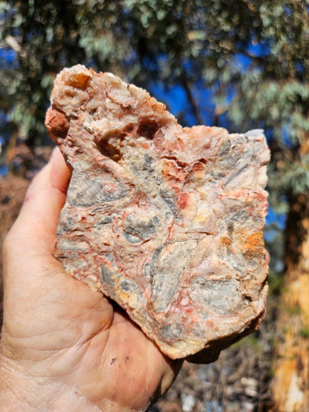 Crazy Lace Agate rough.  CLR 133
