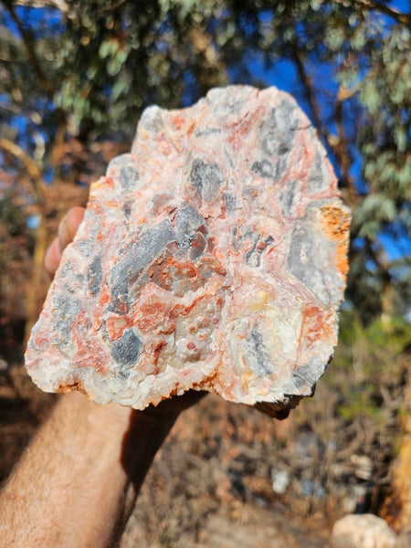 Crazy Lace Agate rough.  CLR 133