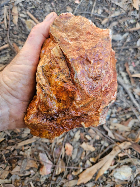 Crazy Lace Agate rough.  CLR 133