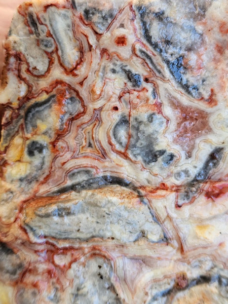 Crazy Lace Agate rough.  CLR 133