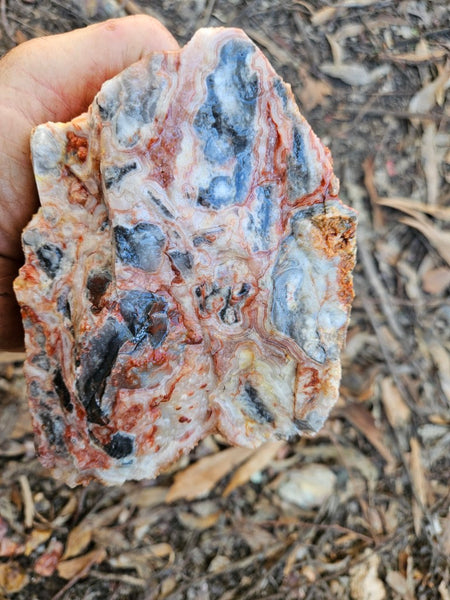 Crazy Lace Agate rough.  CLR 133