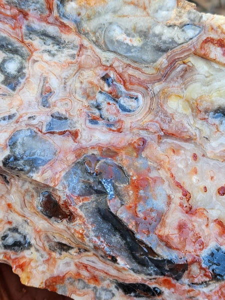 Crazy Lace Agate rough.  CLR 133