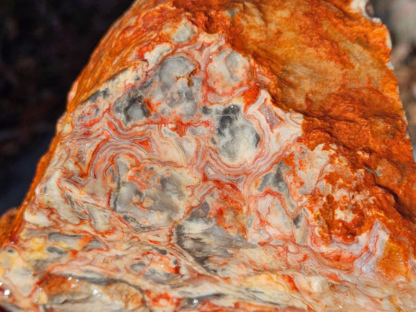 Crazy Lace Agate rough.  CLR 133