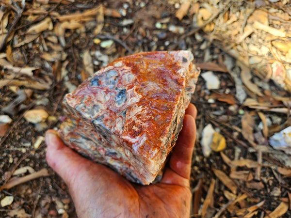 Crazy Lace Agate rough.  CLR 133