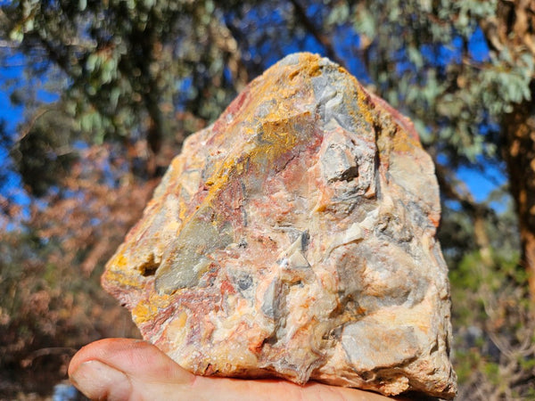 Crazy Lace Agate rough.  CLR 134