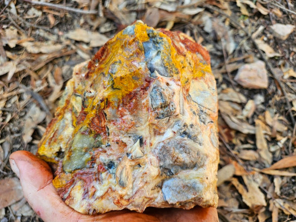 Crazy Lace Agate rough.  CLR 134