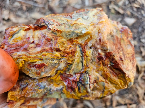Crazy Lace Agate rough.  CLR 134