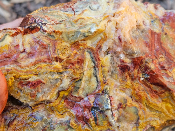Crazy Lace Agate rough.  CLR 134