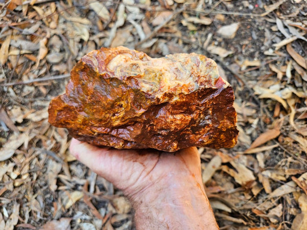 Crazy Lace Agate rough.  CLR 134
