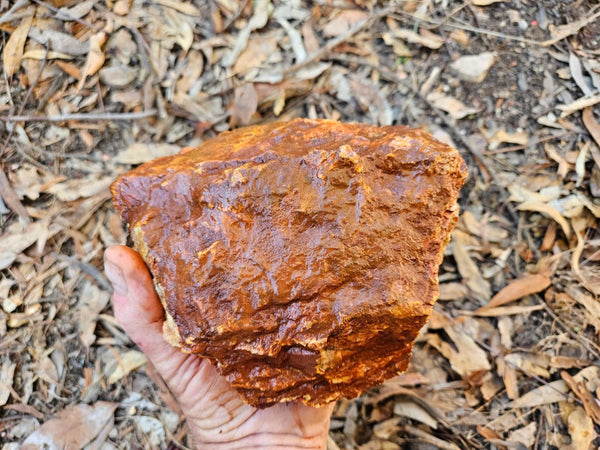 Crazy Lace Agate rough.  CLR 134