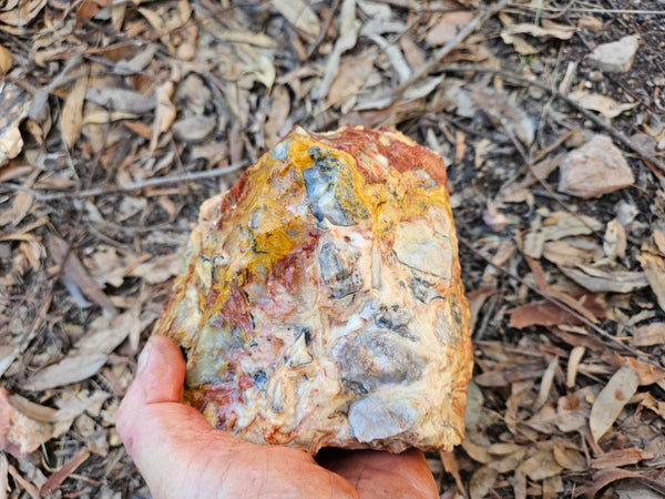 Crazy Lace Agate rough.  CLR 134