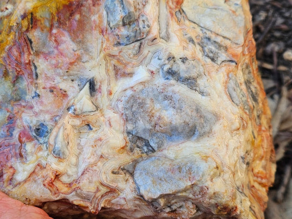 Crazy Lace Agate rough.  CLR 134
