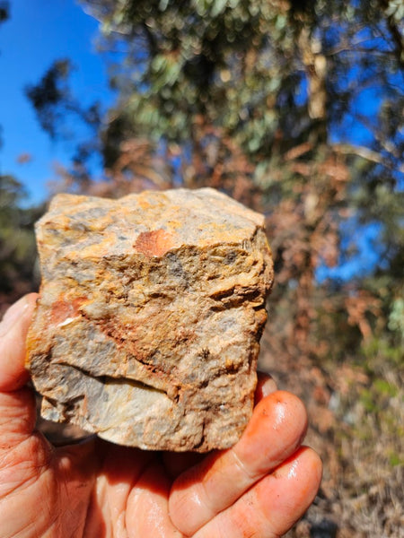 Crazy Lace Agate rough.  CLR 132