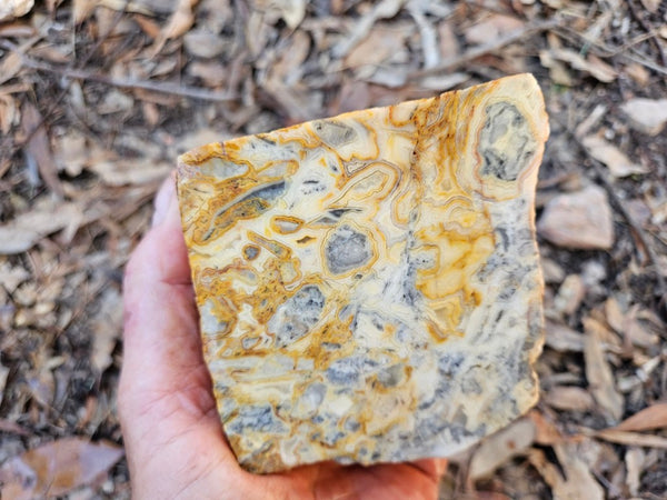 Crazy Lace Agate rough.  CLR 132