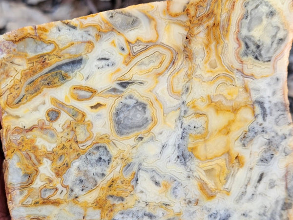 Crazy Lace Agate rough.  CLR 132
