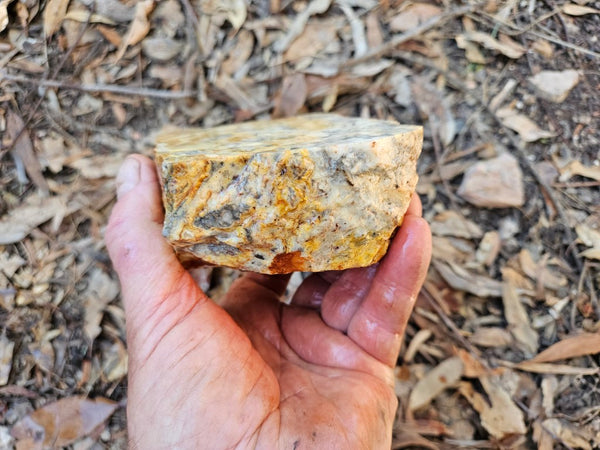 Crazy Lace Agate rough.  CLR 132