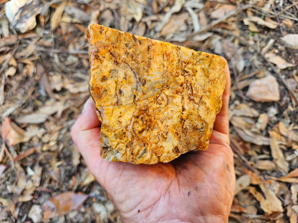 Crazy Lace Agate rough.  CLR 132