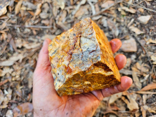 Crazy Lace Agate rough.  CLR 132