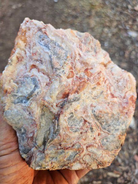 Crazy Lace Agate rough.  CLR 135