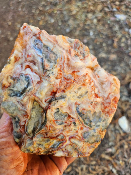Crazy Lace Agate rough.  CLR 135