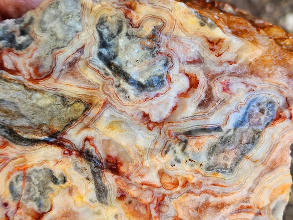 Crazy Lace Agate rough.  CLR 135