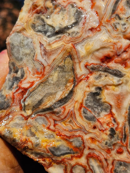 Crazy Lace Agate rough.  CLR 135