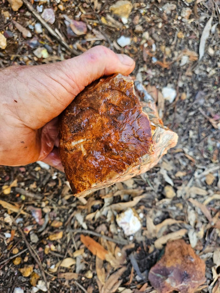 Crazy Lace Agate rough.  CLR 135