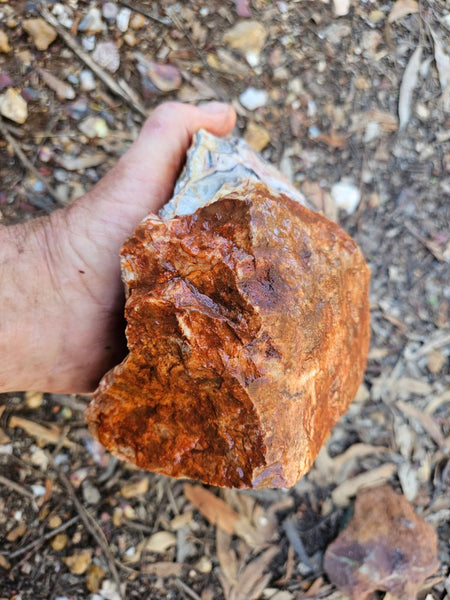 Crazy Lace Agate rough.  CLR 135