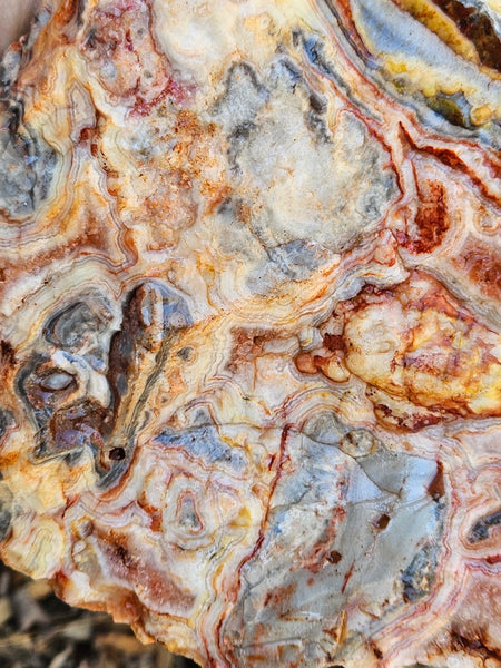 Crazy Lace Agate rough.  CLR 135
